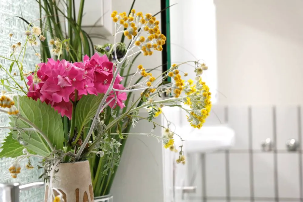 Campingplatz Gräßelmühle