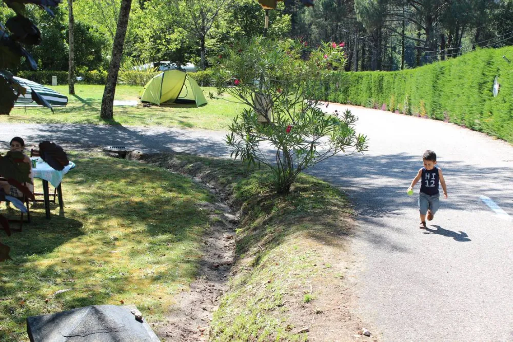 Aldea Guntin- Camping Cañiza