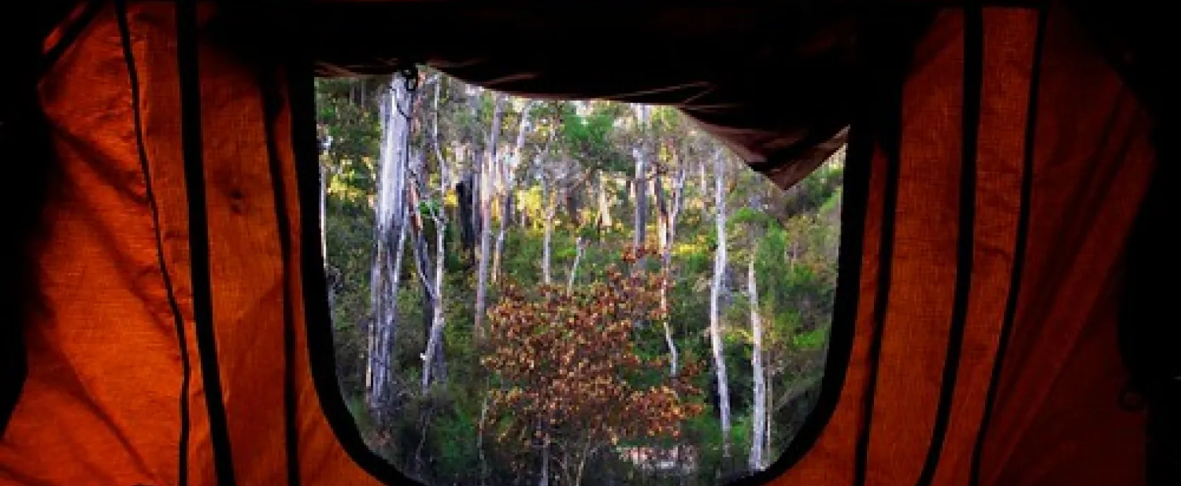 Log Crossing Campground