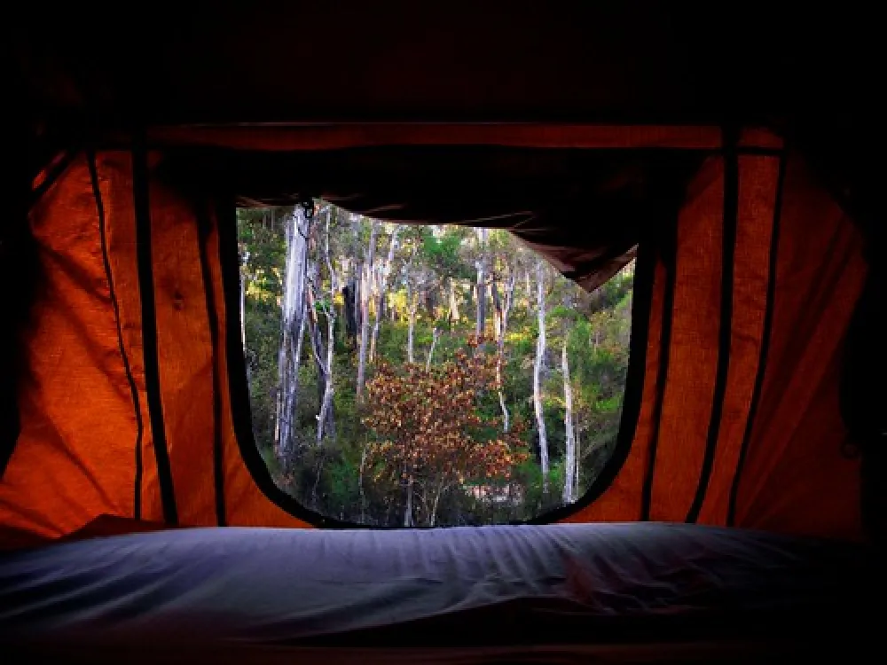 Log Crossing Campground