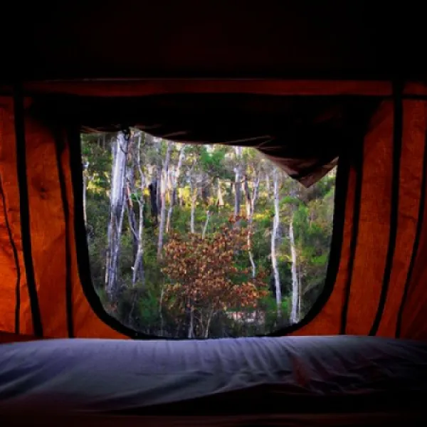 Log Crossing Campground
