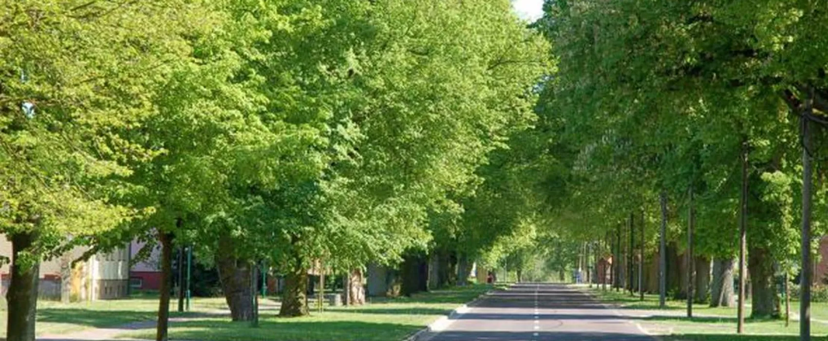 Buchholz Camp | Camping am Müritzsee