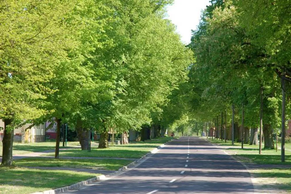 Buchholz Camp | Camping am Müritzsee