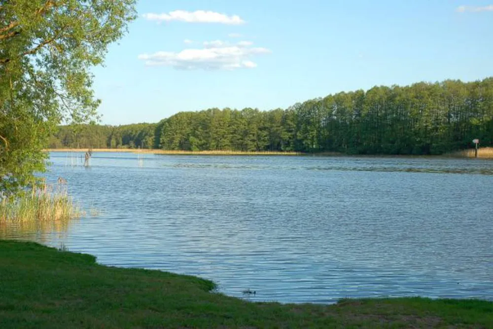 Buchholz Camp | Camping am Müritzsee