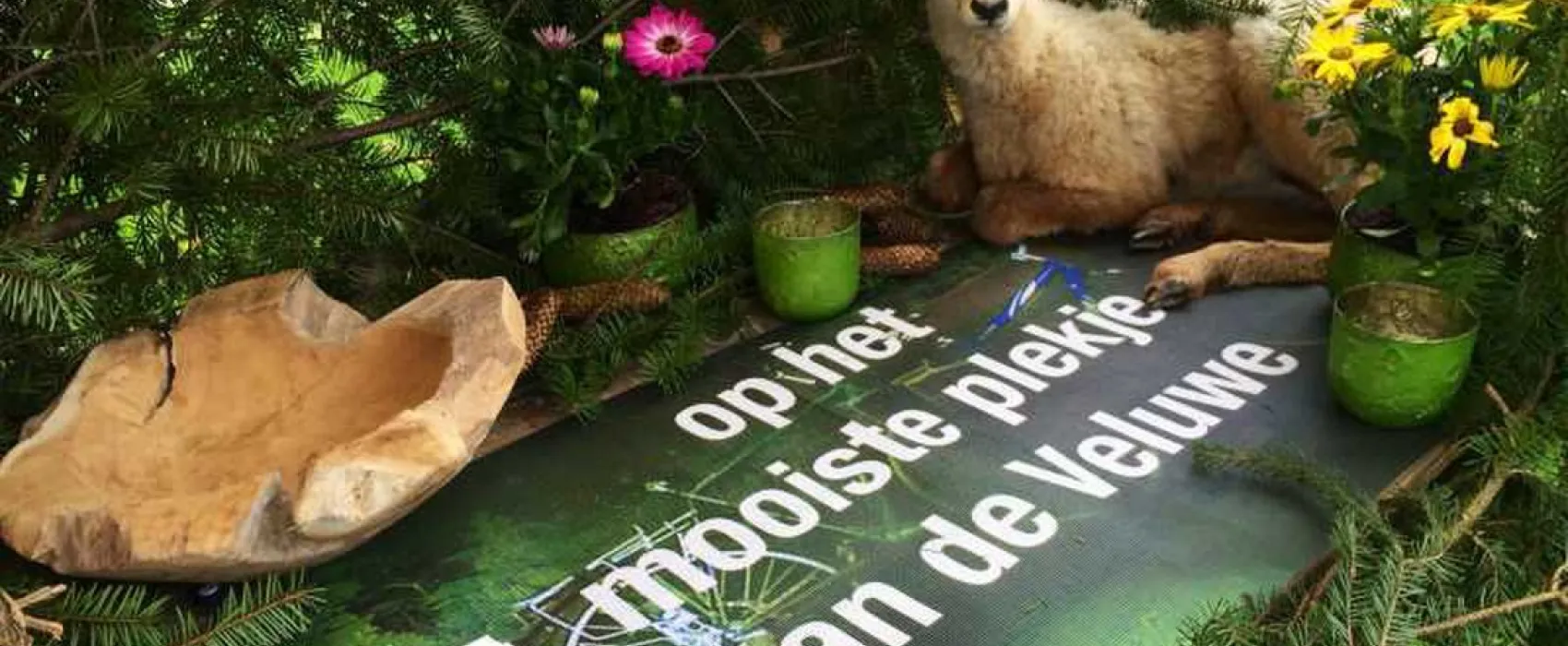 Park Het Speulderbos