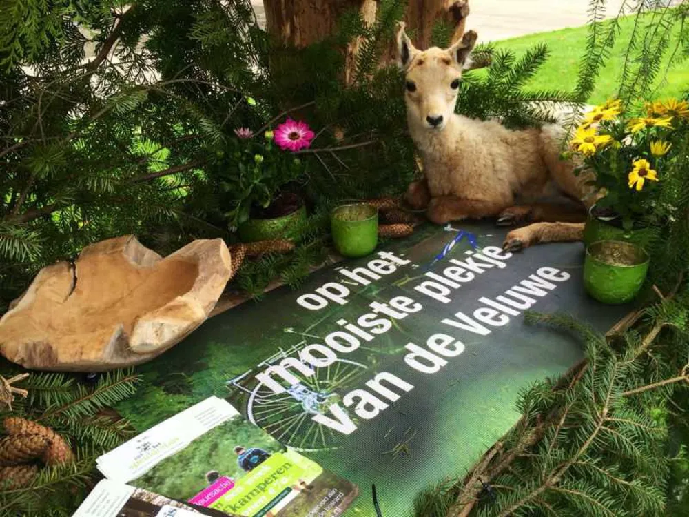 Park Het Speulderbos