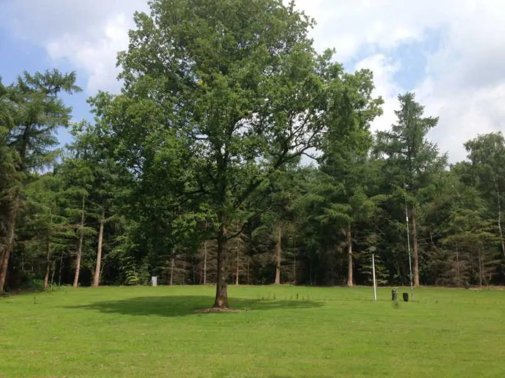 Park Het Speulderbos