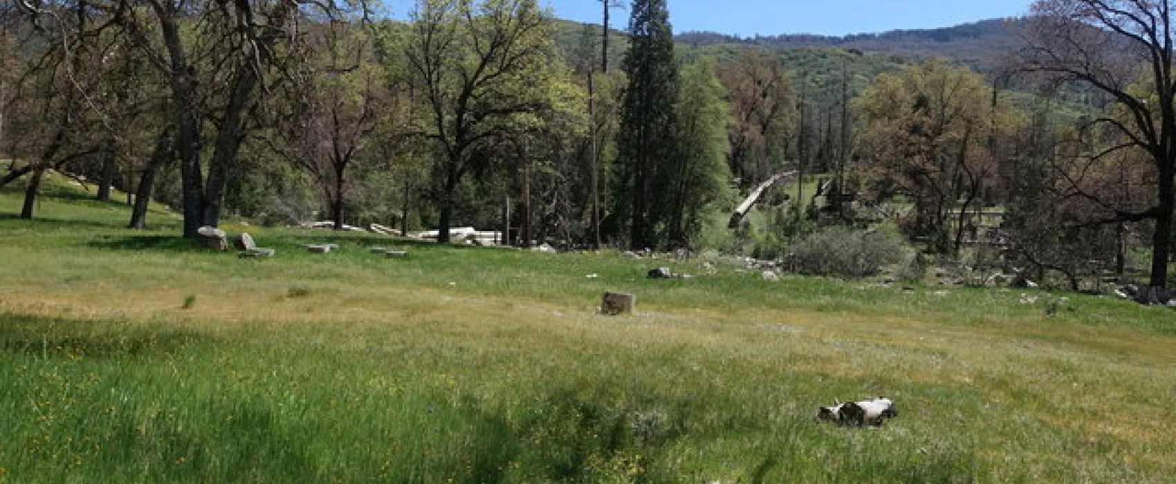 Alder Creek Campground