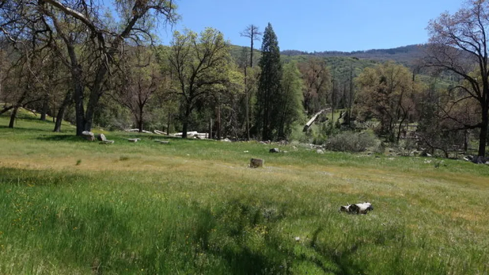 Alder Creek Campground