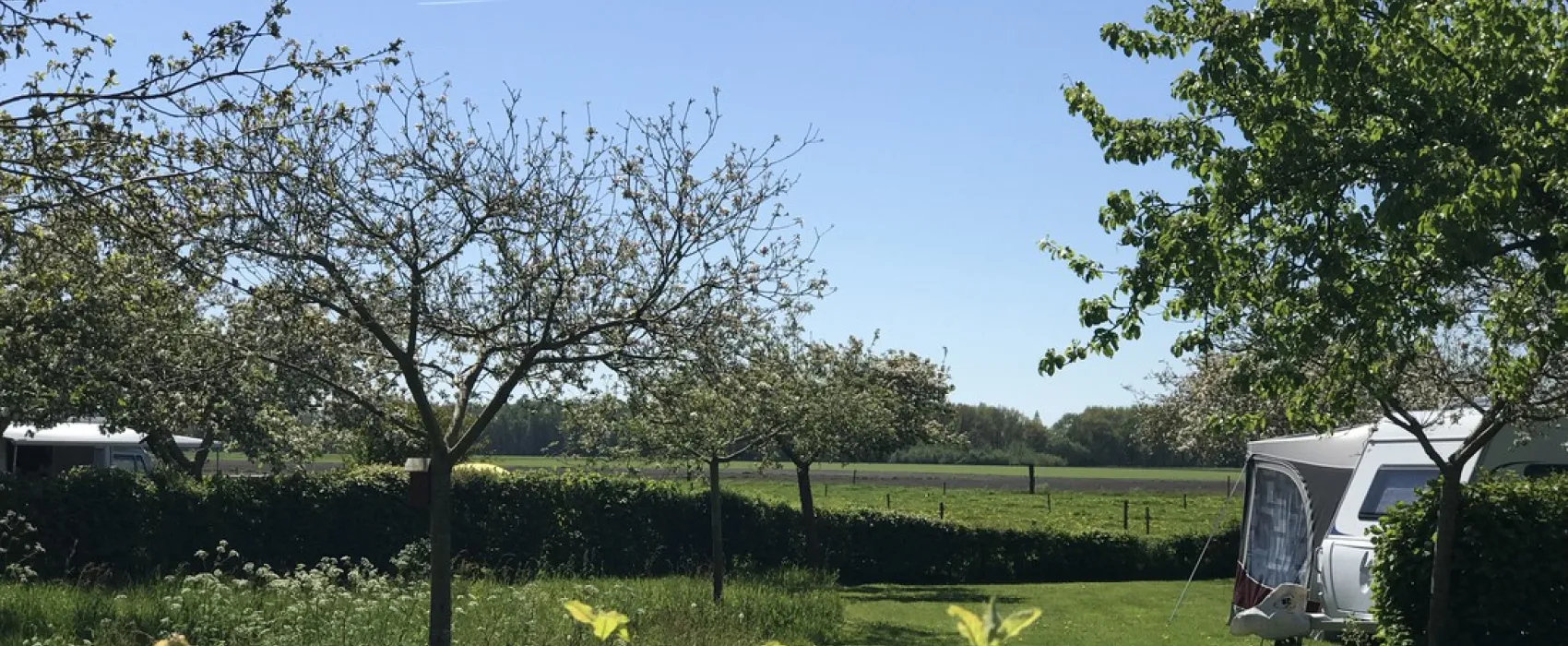 Landschapscamping Het Veentieshof