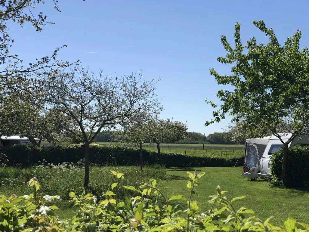 Landschapscamping Het Veentieshof