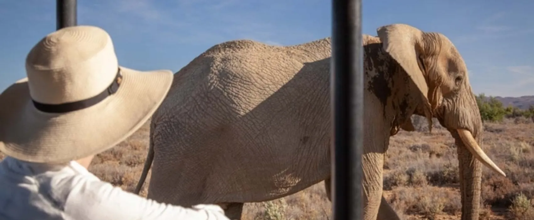 Kuganha Luxury Tented Camp