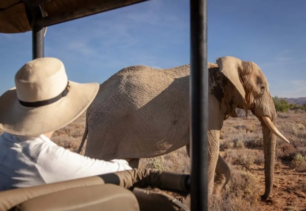 Kuganha Luxury Tented Camp