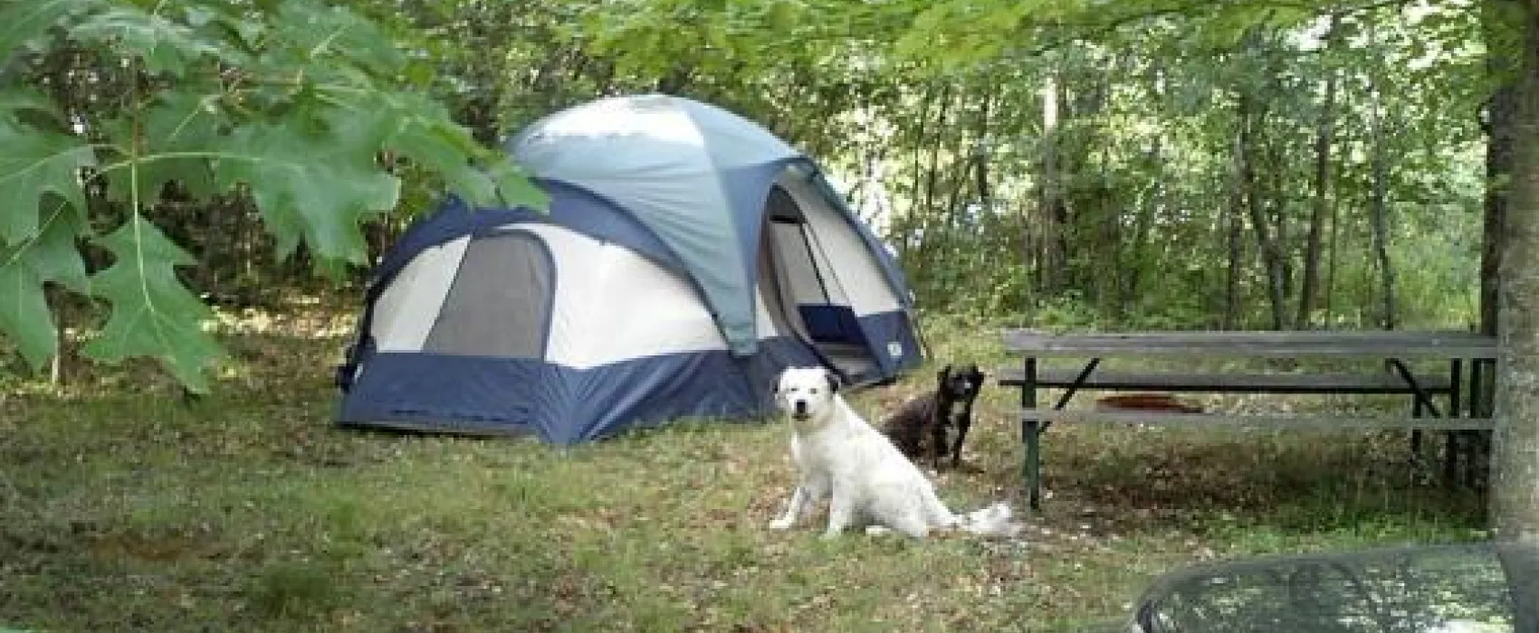 Troll Landing Campground