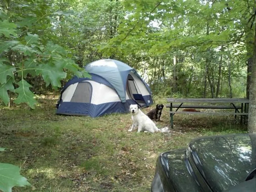 Troll Landing Campground