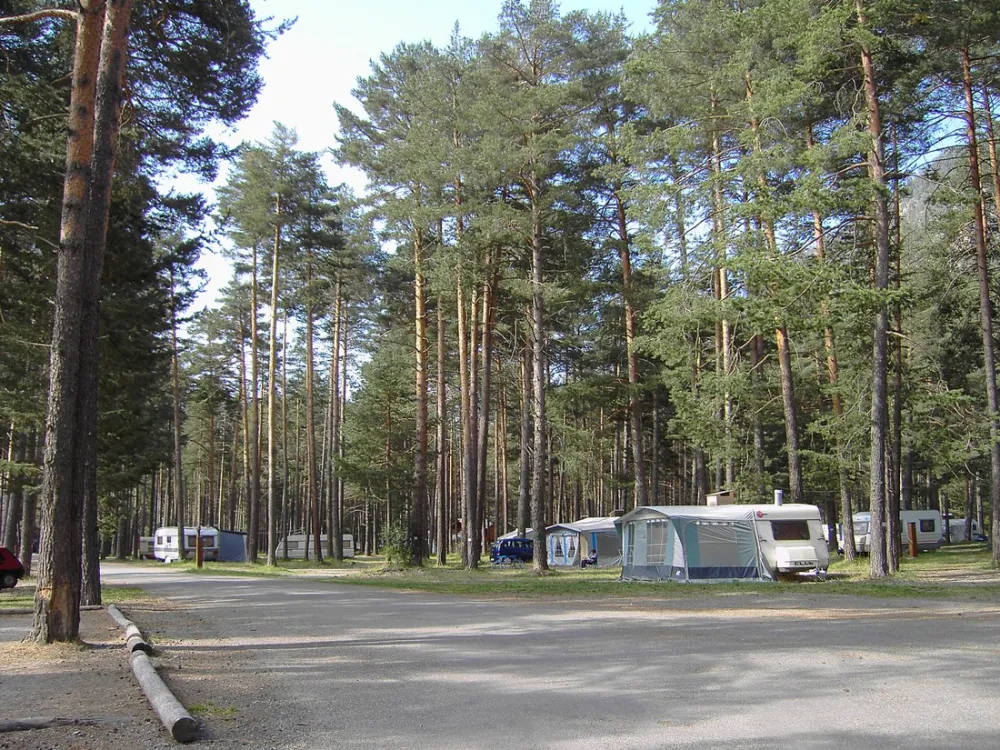 Municipal du Bois des Alberts