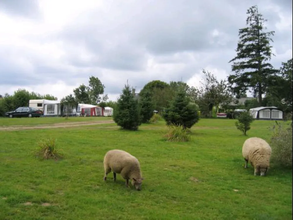 Le Grand Chemin (Fred's Place)