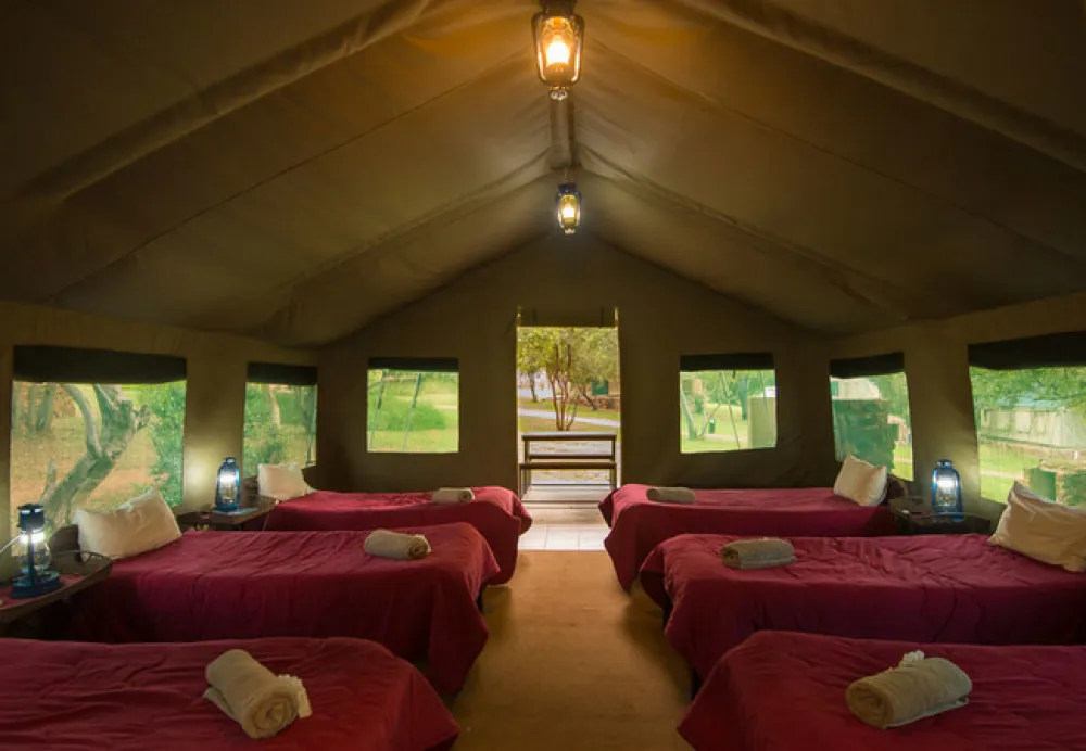 Bushwillow Tented Camp