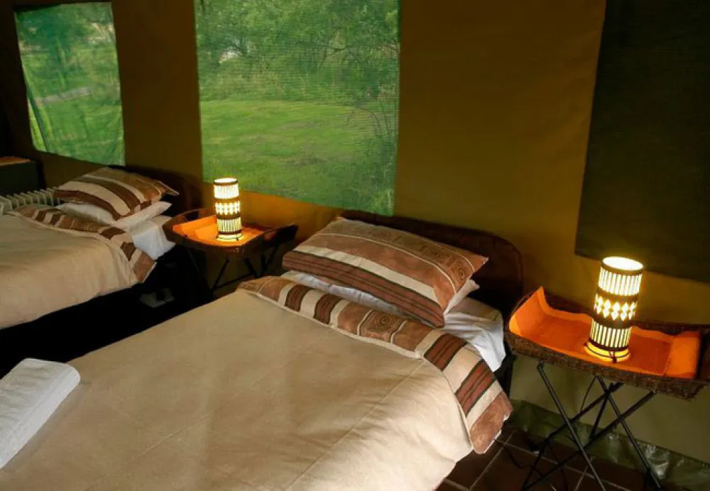 Bushwillow Tented Camp