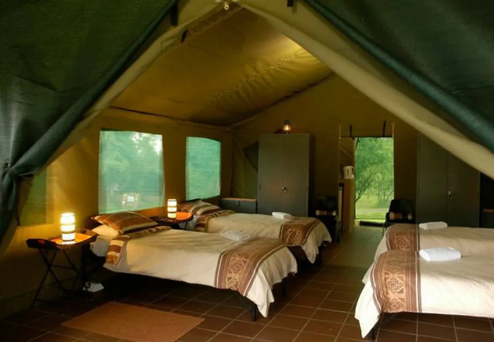 Bushwillow Tented Camp