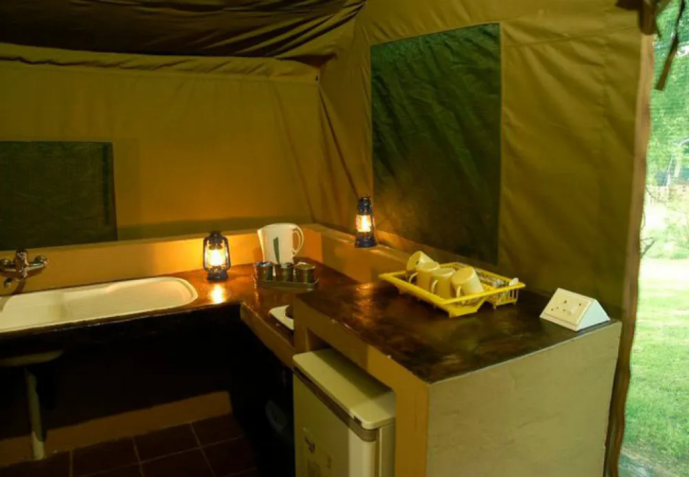 Bushwillow Tented Camp