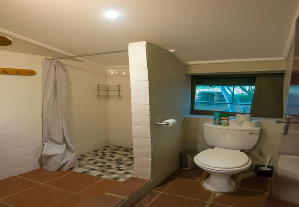 Bushwillow Tented Camp