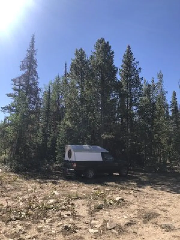Bow River Campground