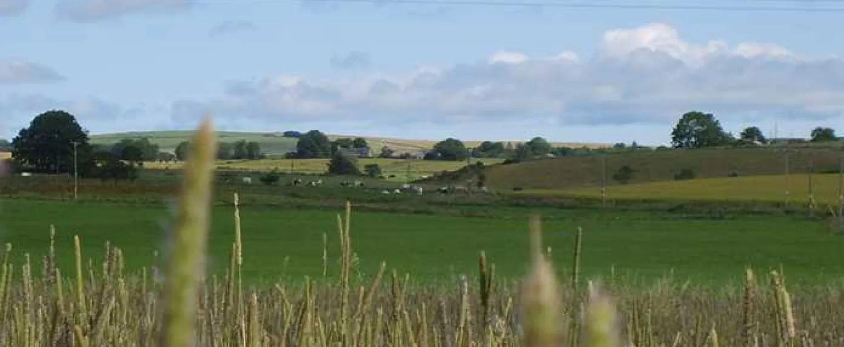Ythan Valley Campsite