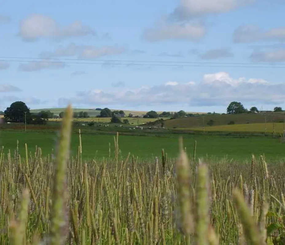 Ythan Valley Campsite