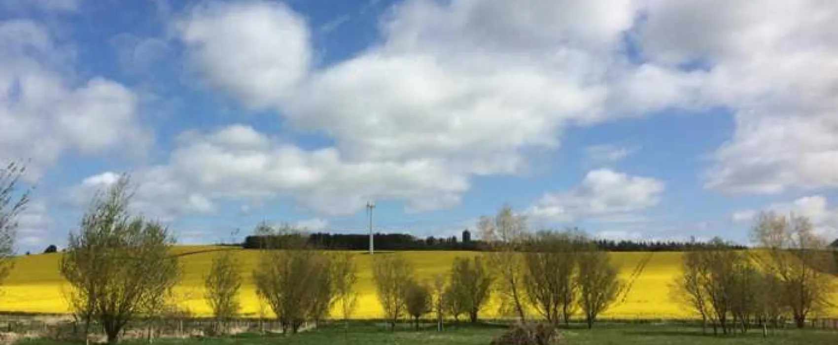 Ythan Valley Campsite