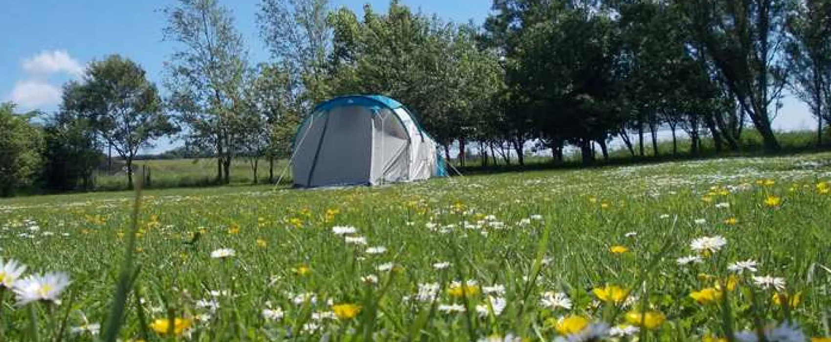 Ythan Valley Campsite