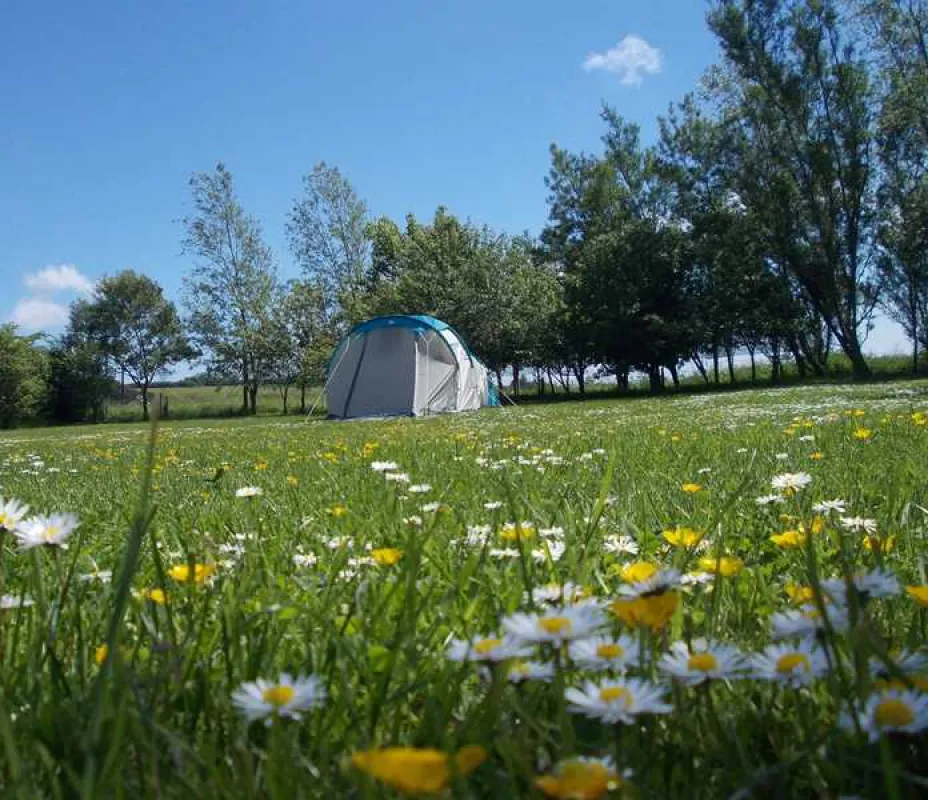 Ythan Valley Campsite