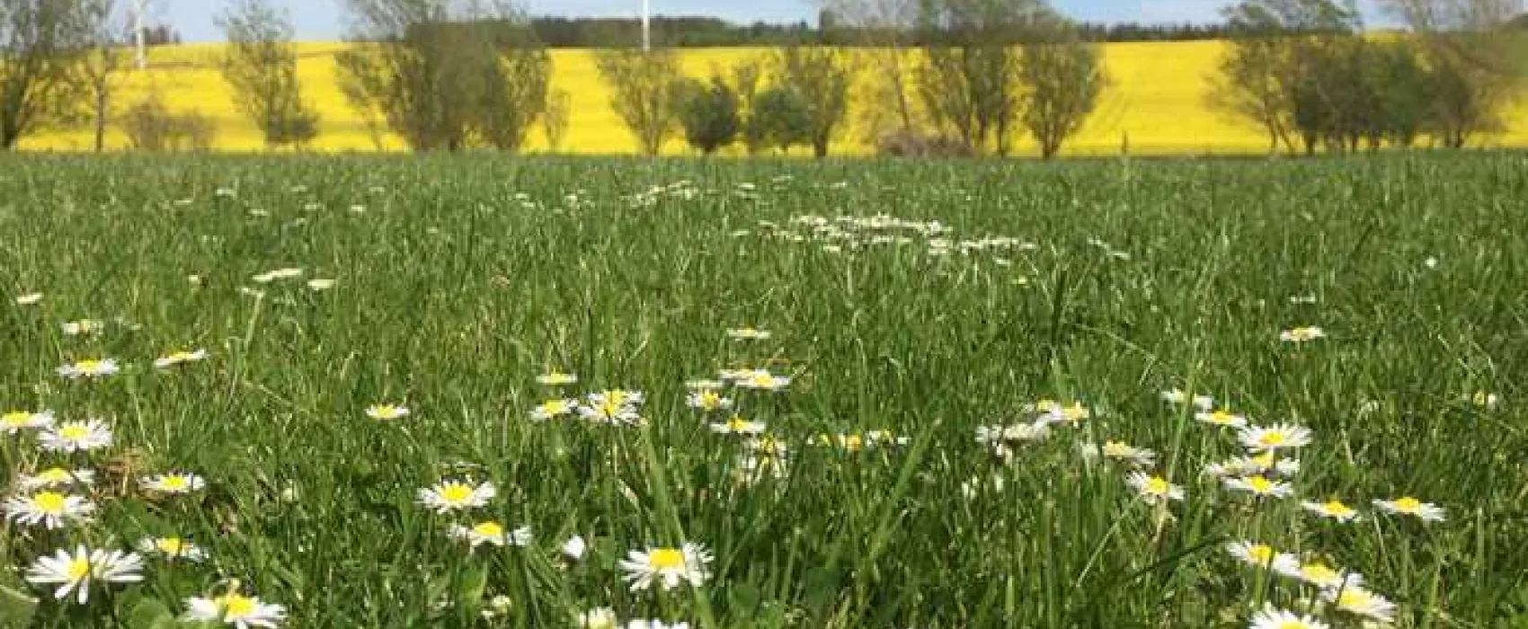 Ythan Valley Campsite