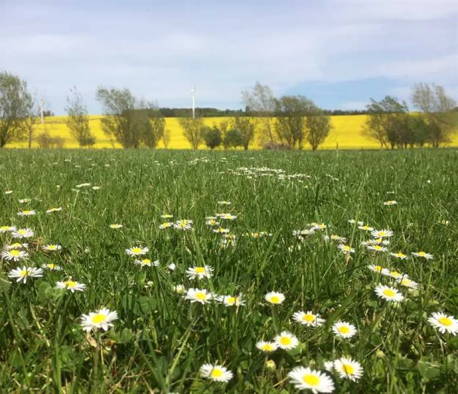 Ythan Valley Campsite