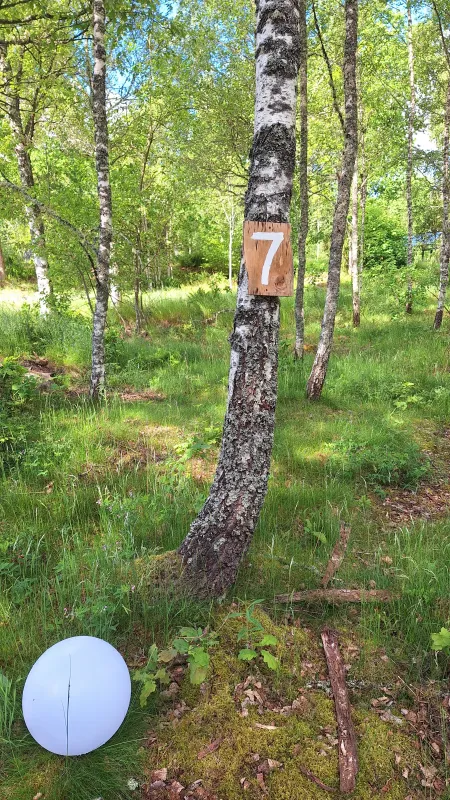 Bigård Birgittas ställplats