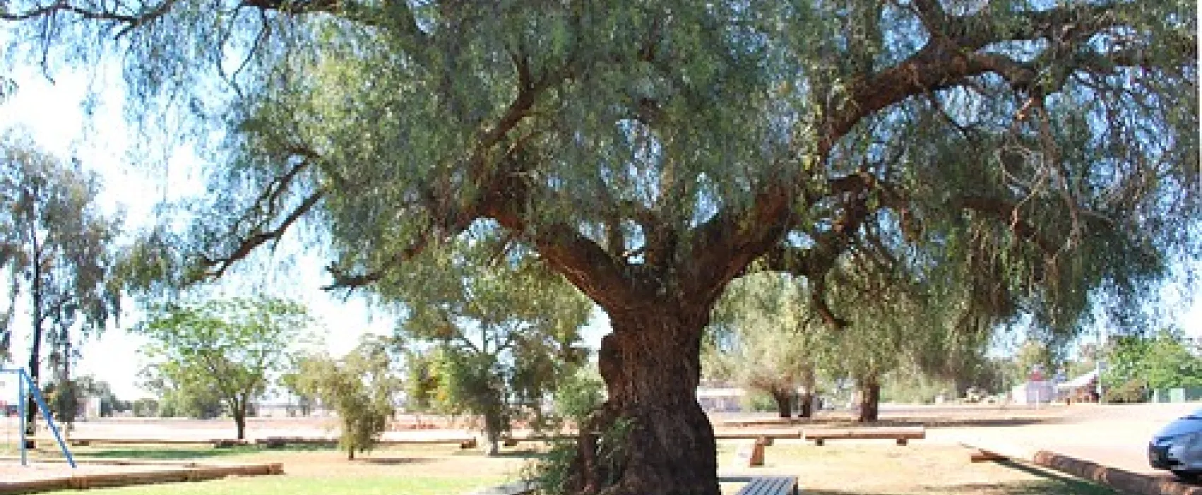 Tullibigeal Park Campground