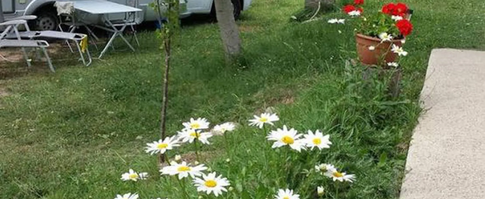 Camping Valle de Nocito