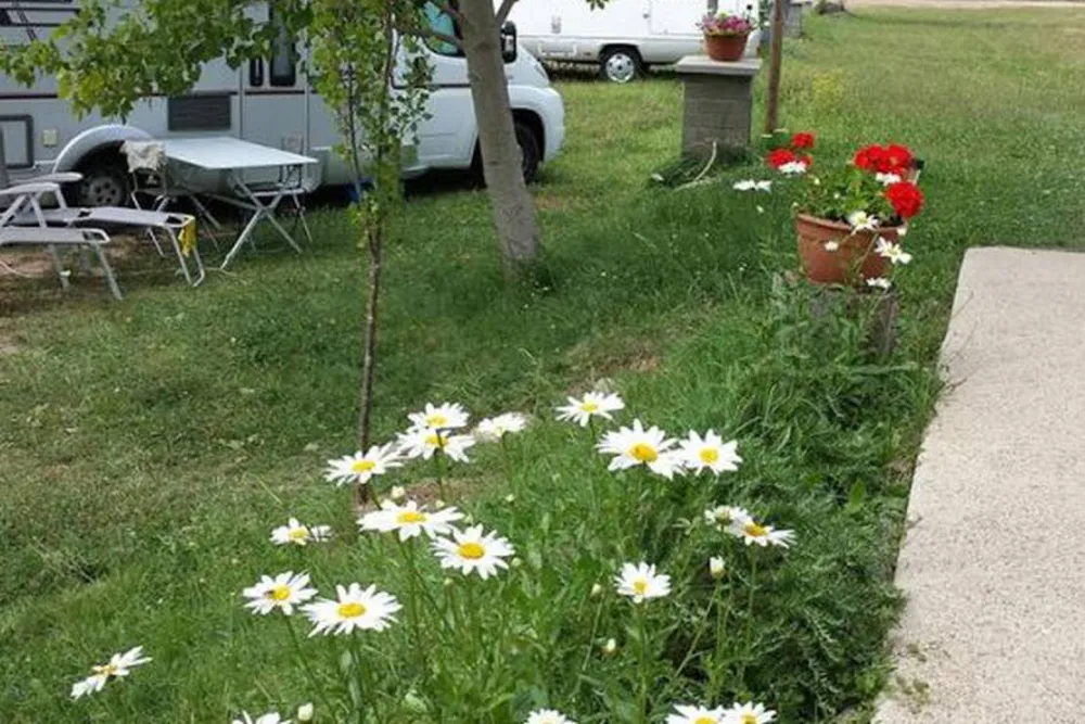 Camping Valle de Nocito