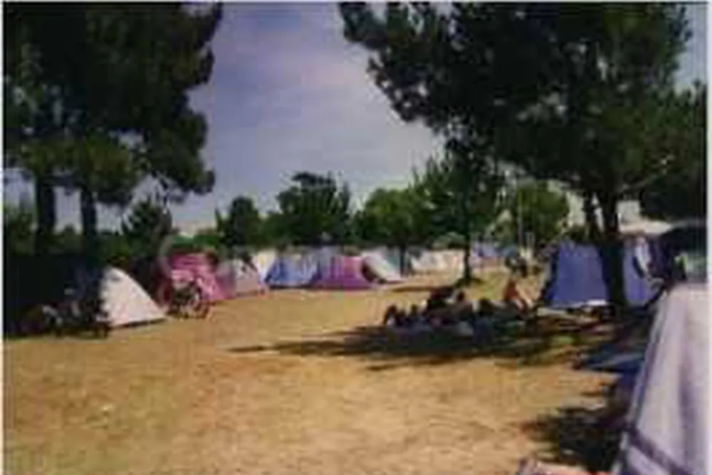 Camping Fontesín