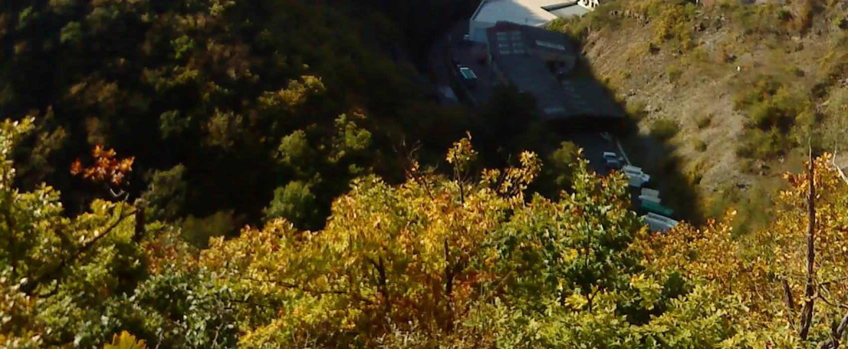 Historische Mühle Vogelsang