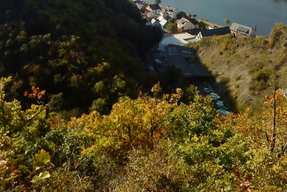 Historische Mühle Vogelsang