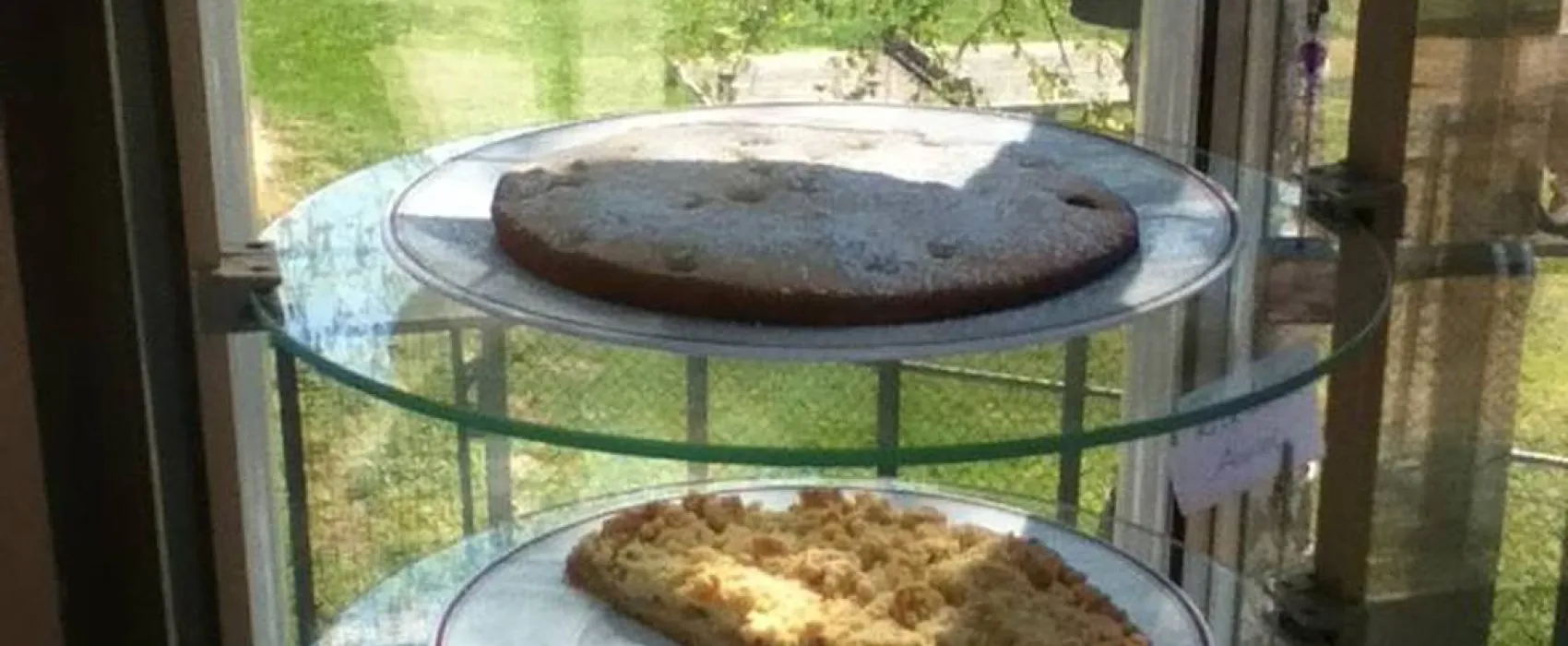 Historische Mühle Vogelsang