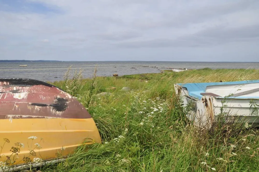 Orø camping - og hytteby