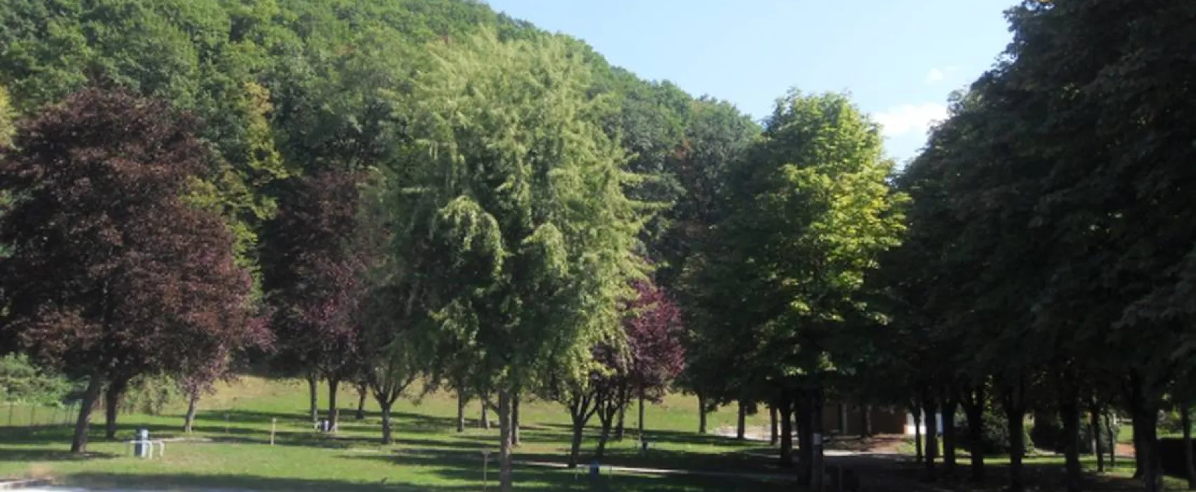 Camping Municipal Bois Des Tours