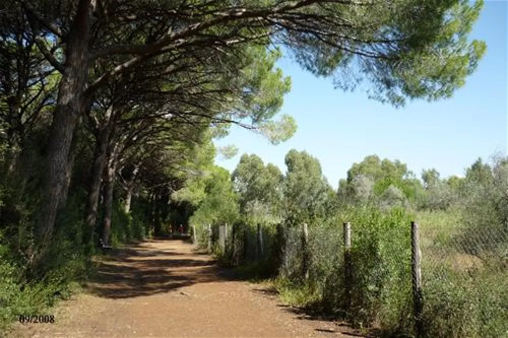 Molino a Fuoco (Glamping)