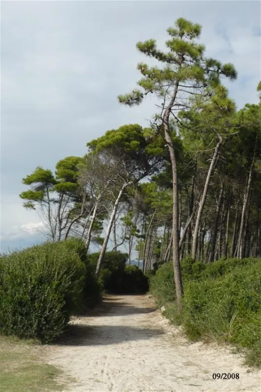 Molino a Fuoco (Glamping)