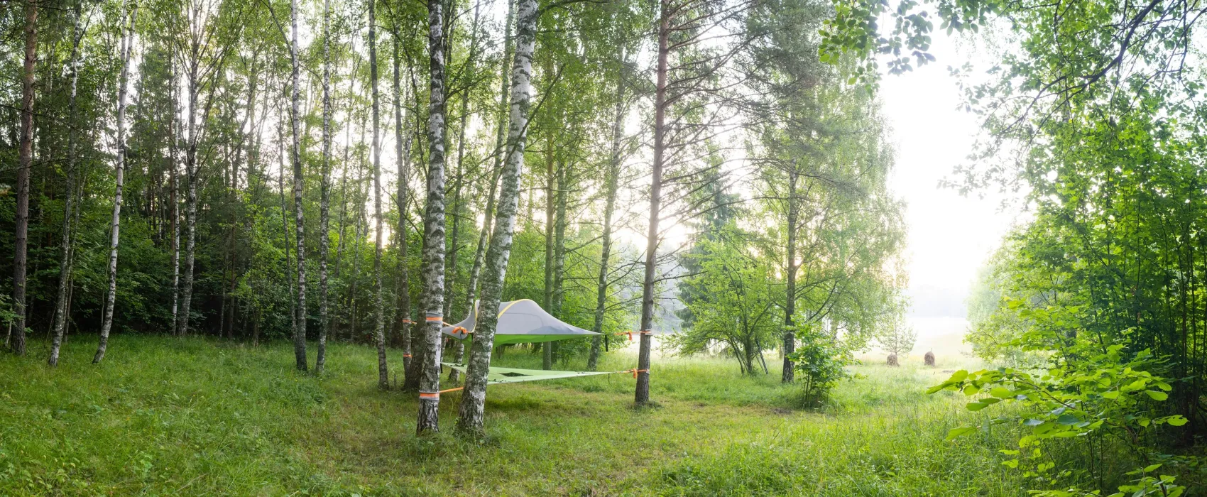 Naawa Nature Awakening