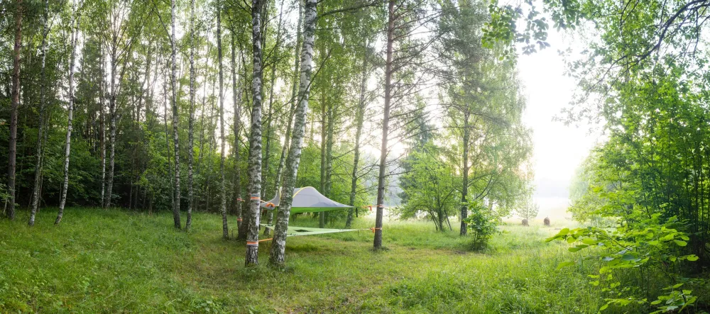 Naawa Nature Awakening