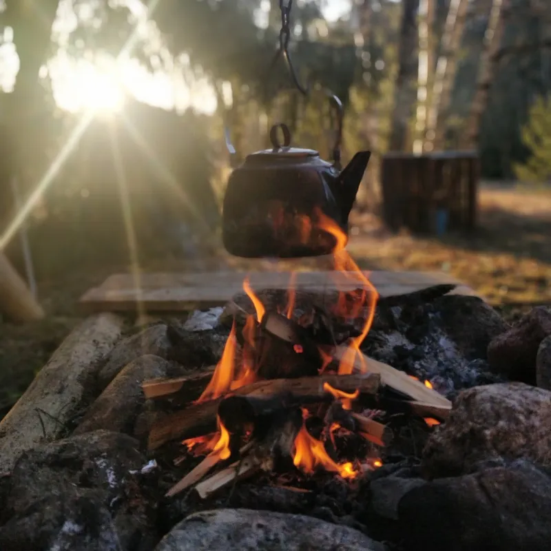 Naawa Nature Awakening