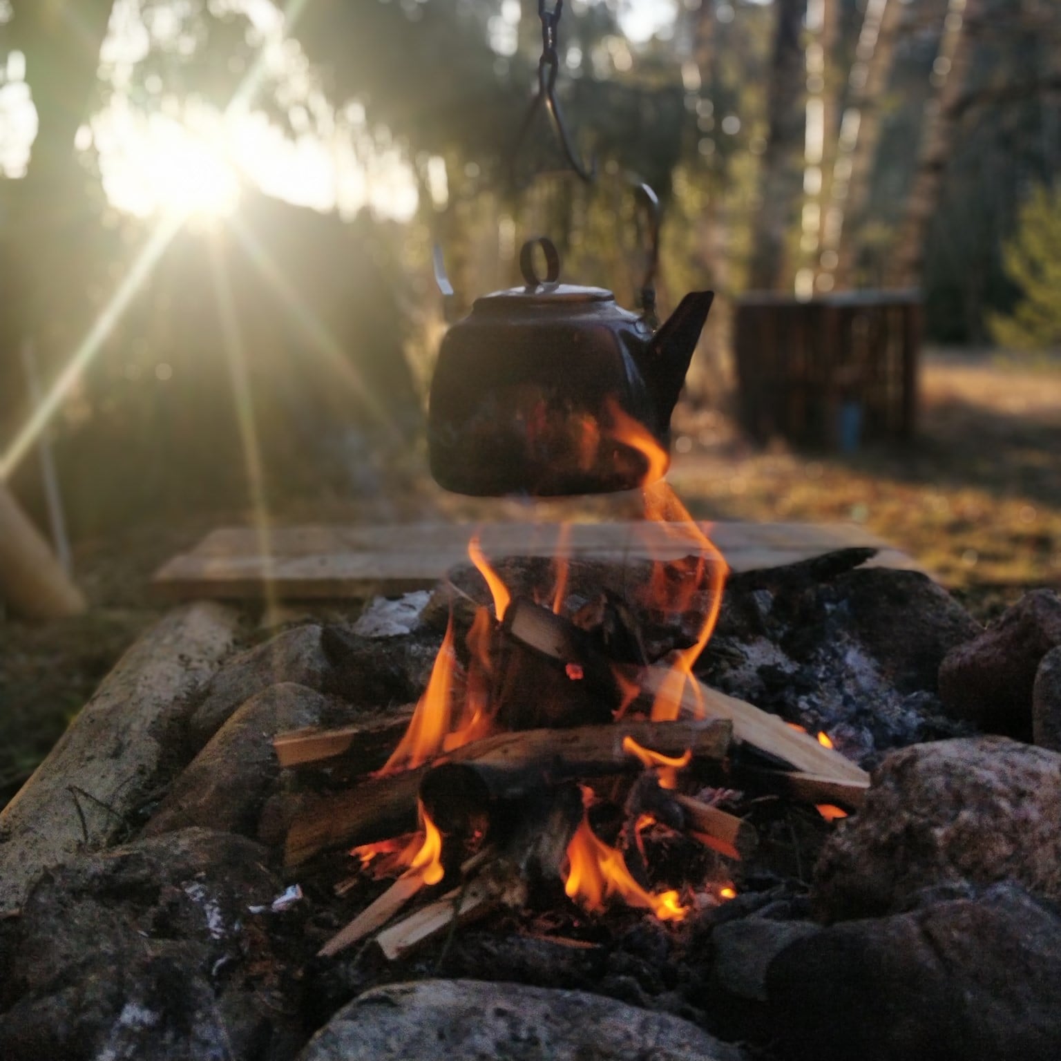 Naawa Nature Awakening photo 2